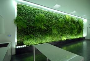 Indoor vertical garden wall with lush greenery and modern lighting.