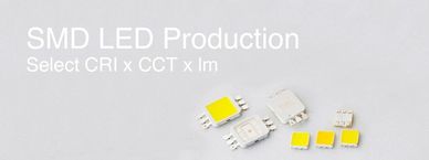 In house development and manufacture of LED components