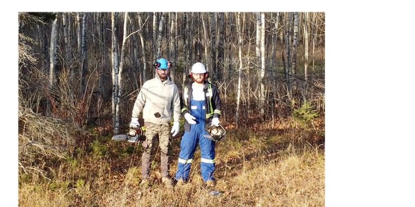 Two workers in safety gear clearing trees and clearing lot for a custom cabin