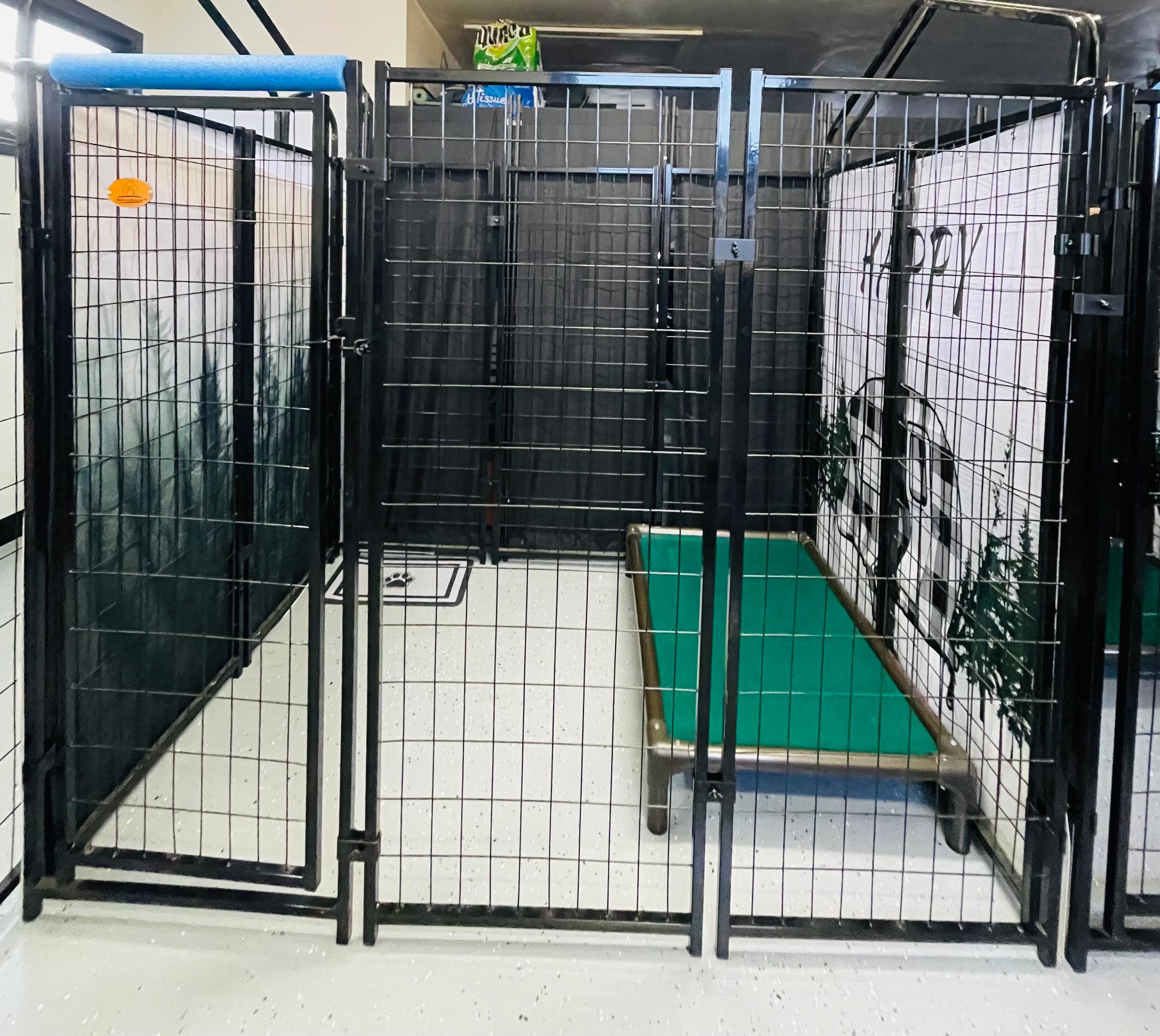 Large dog boarding campsite: 4 x 6 for overnight stays
