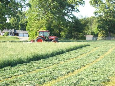 A tractor mowing a field near residential houses on a sunny day.