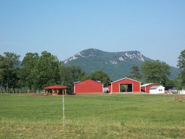 Red barns and green fields with a mountain backdrop under clear blue sky.