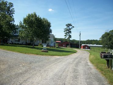 Country house with a gravel driveway and red barns under a clear sky.