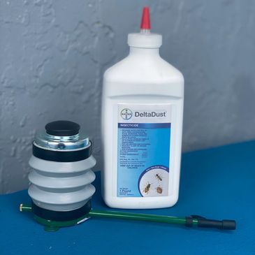 Diy Pest Control Fl