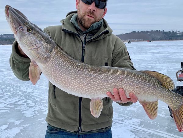 Ice fishing for trophy Maine Northern Pike