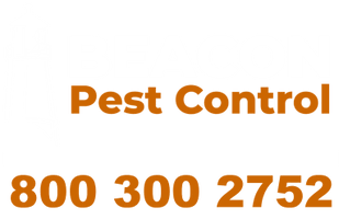 Beacon Pest Control

800-300-2752
