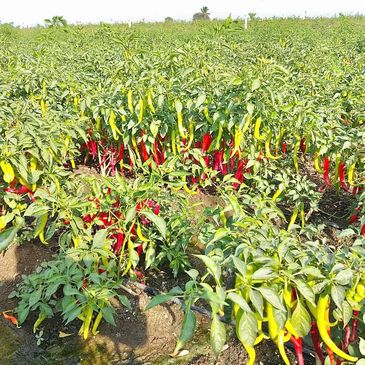 🖱️ Click to view address & map