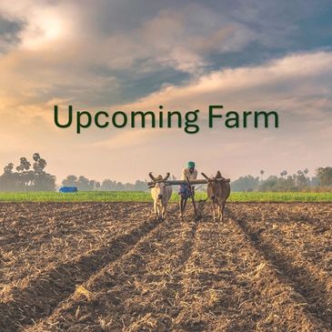 🖱️ Click to view address & map