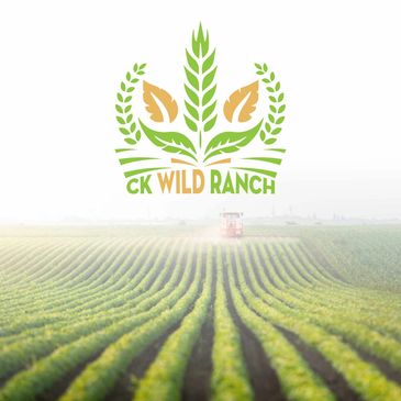 CK Wild Ranch Logo