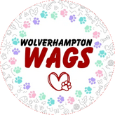 Wolverhampton Wags