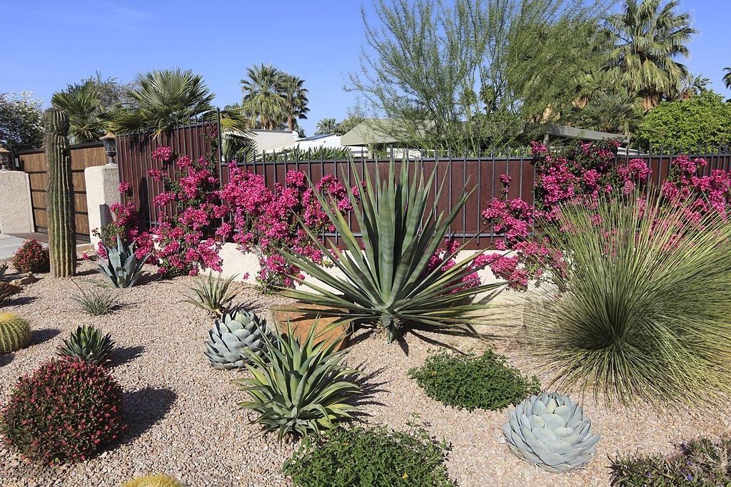 Top 10 Landscaping Trends to Elevate Your Outdoor Space in 2025