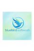 bluebird


