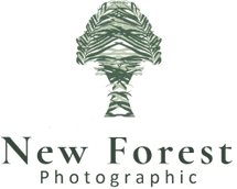 New Forest Photographic