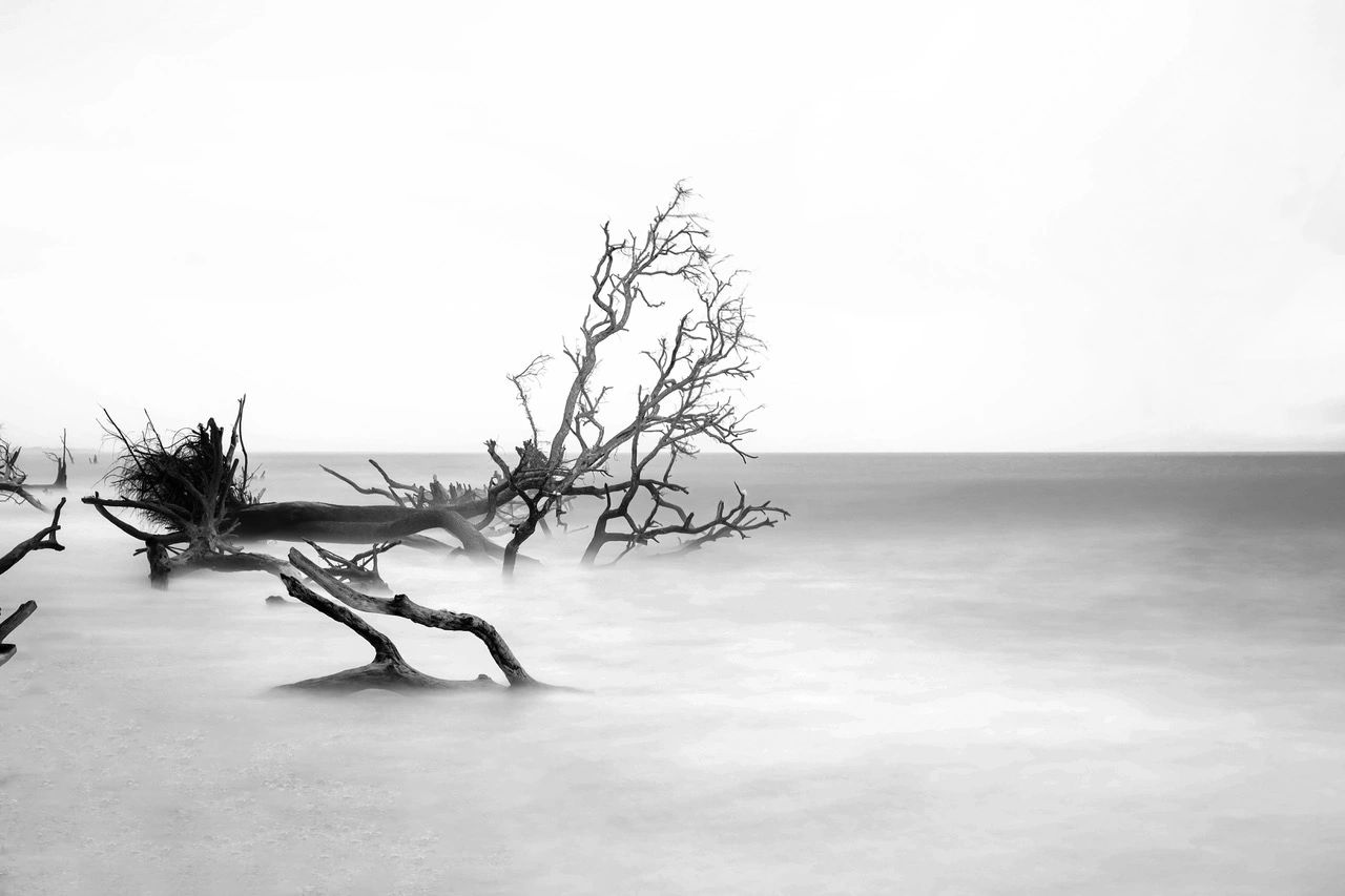 Driftwood Yoga, Spa & Boutique online