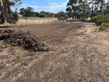 A dry, cleared field with piles of brush under a sunny sky.