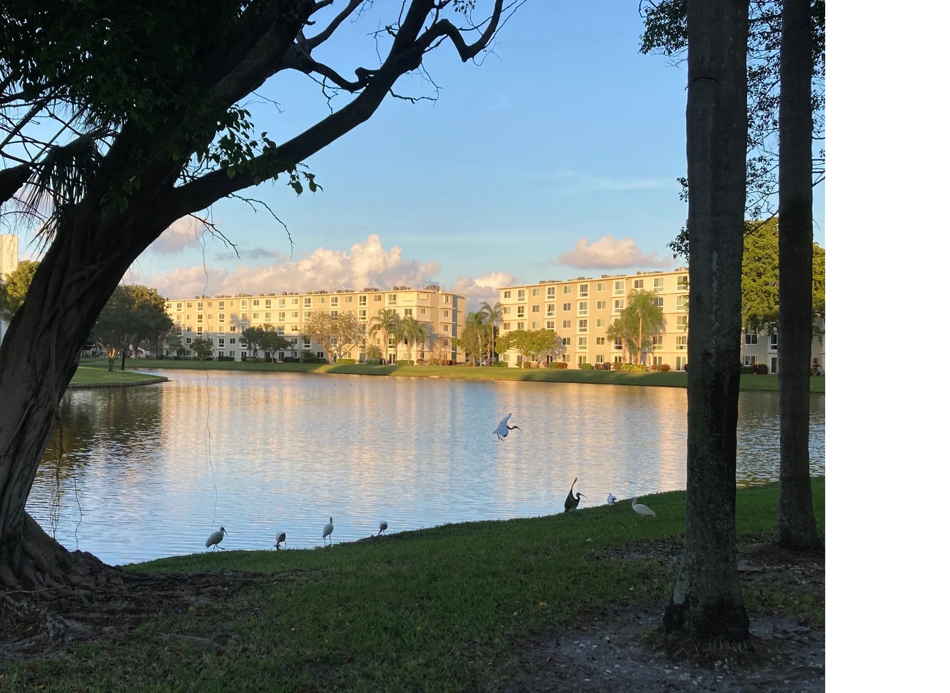 Image showcasing Cypress Bend Condo IV Association, Inc. - About, Condo