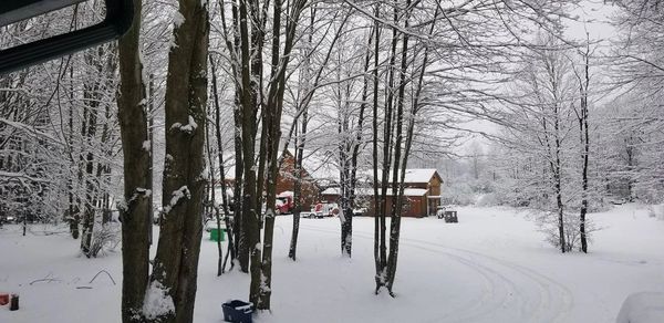 Sugarshack