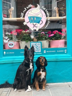 Freddie and Bernie's 


COMING SOON