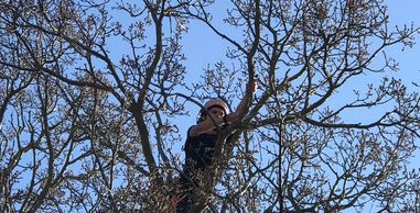 Cornwall Tree Surgeon