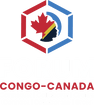 Forum d'Innovation Culturelle et Entrepreneuriale Congo - Canada (FICEC)