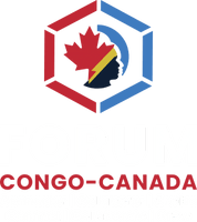 Forum d'Innovation Culturelle et Entrepreneuriale Congo - Canada (FICEC)