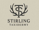 Stirling Taxidermy