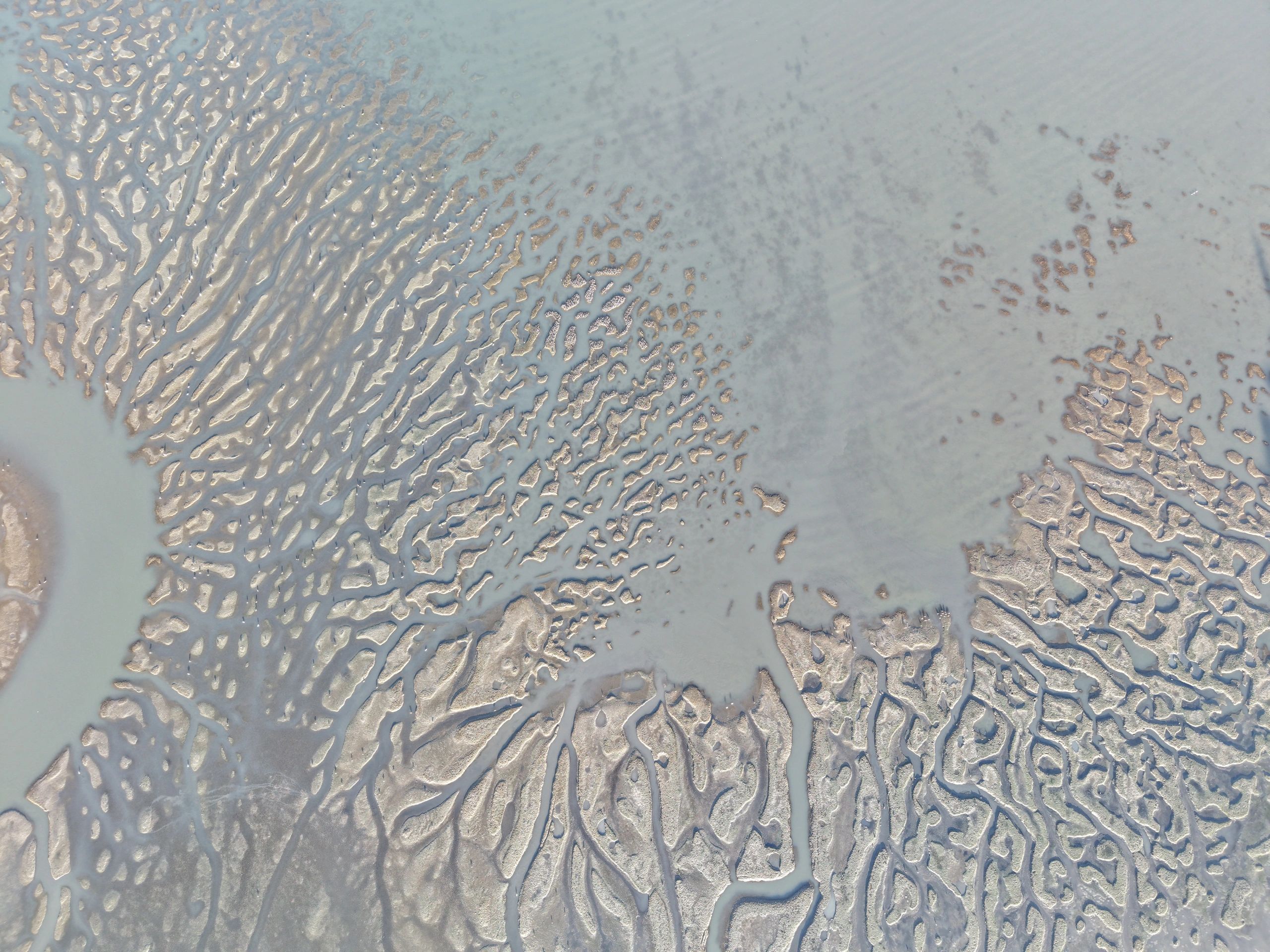 Aerial view of winding river channels in a grayish landscape.