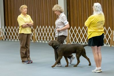 Akc obedience trials Clearance