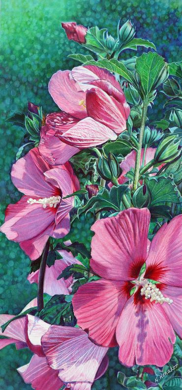 Vibrant pink hibiscus flowers with lush green leaves against a teal background.