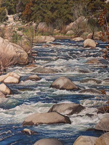 A flowing river with rocks surrounded by trees and bushes.