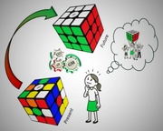 The Leadership Cube™