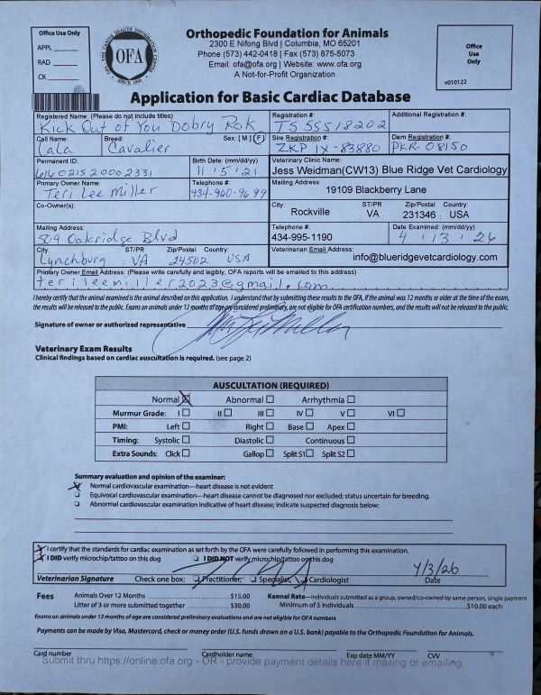 Orthopedic Foundation for Animals cardiac exam form for Cavalier dog.