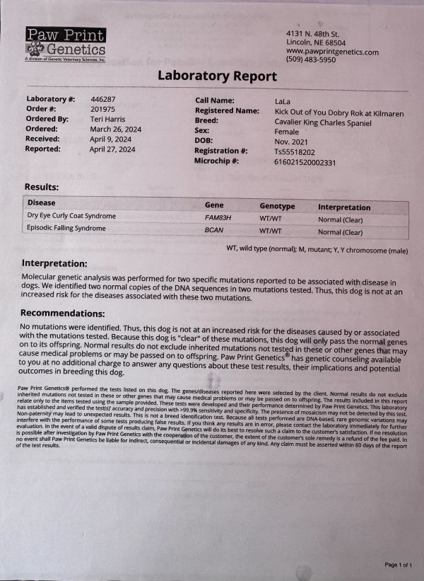 Laboratory report for dog genetics test showing normal results.