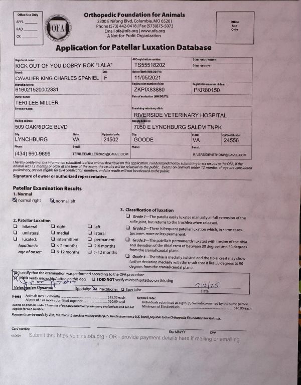 Application for Patellar Luxation for a Cavalier King Charles Spaniel named Lala.