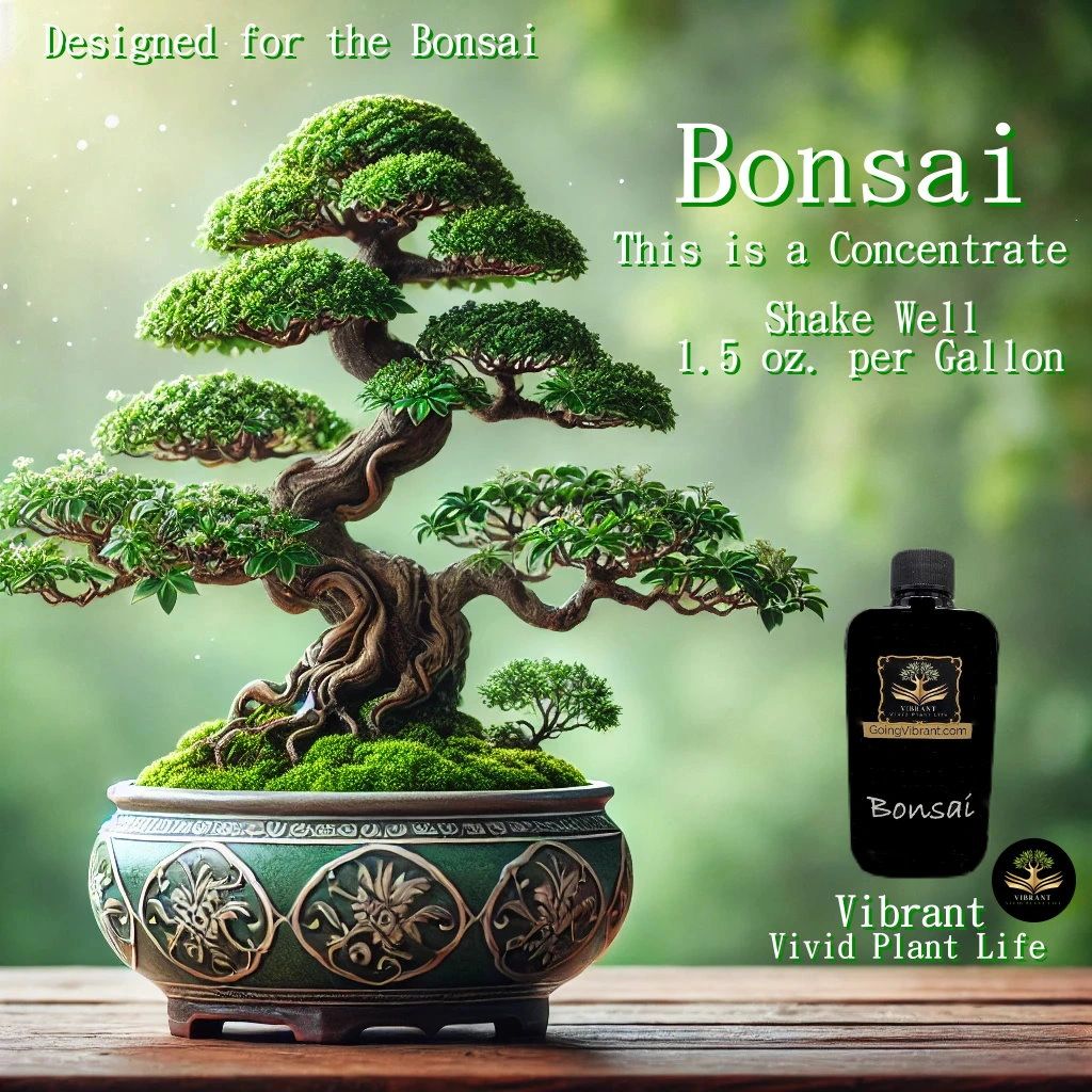 close picture of bonsai plant