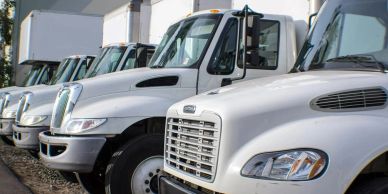 A row of white semi-trailer trucks parked side by side.