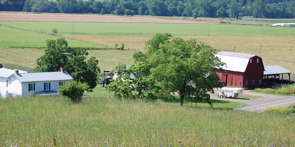 Burlington, WV Family Farm