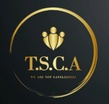 The Security Cyber Advisors (T.S.C.A)