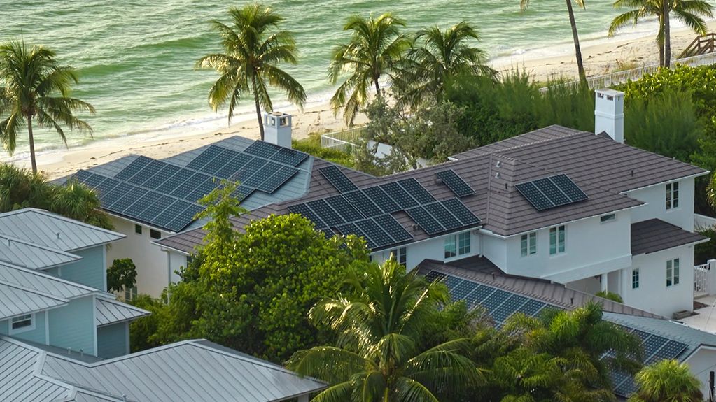 Beachside house with solar panels on the roof surrounded by palm trees.