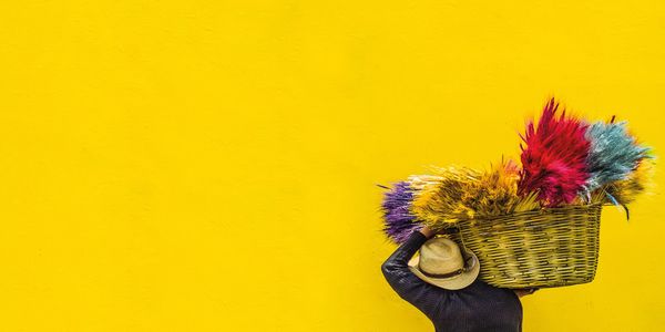 a picture of a man carrying a basket of multiple colored wheat against a yellow background