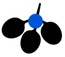 The Network Blue