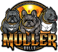Muller Bulls