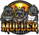 Muller Bulls
