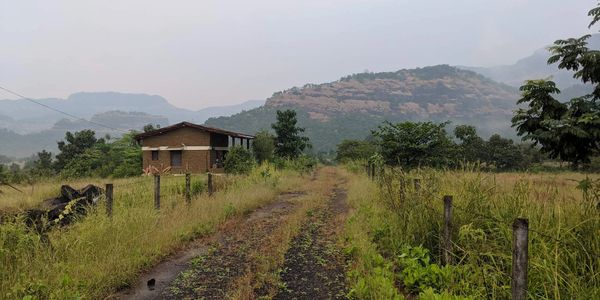 A road leads next to our simple rustic homestay, Western Ghats mountains in the background