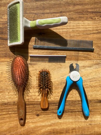 These are the most basic brushes combs and nail trimmer to have on hand for the do-it your self home
