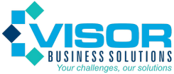 Visor Business
