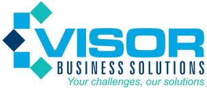 Visor Business