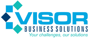 Visor Business