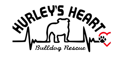 HHBR ADMIN SITE