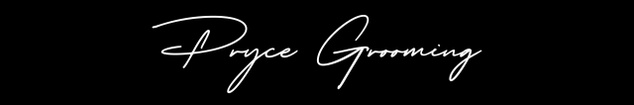 Pryce Grooming Men’s Products 